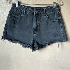 Pacsun High Rise Festival Shorts Size 28